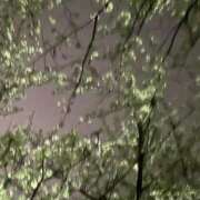 ヒメ日記 2025/04/07 14:25 投稿 るく ドMな団地妻 名古屋・池下店