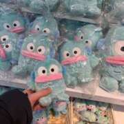 ヒメ日記 2025/03/20 15:18 投稿 ななせ 川崎ソープ　クリスタル京都南町