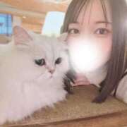 ヒメ日記 2025/11/22 16:47 投稿 ななせ 川崎ソープ　クリスタル京都南町