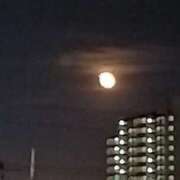 ヒメ日記 2025/03/17 16:24 投稿 みわ 渋谷 風俗 奥様発情の会