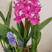 ヒメ日記 2025/03/21 13:32 投稿 みわ 渋谷 風俗 奥様発情の会