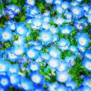 みわ 先程は 渋谷 風俗 奥様発情の会