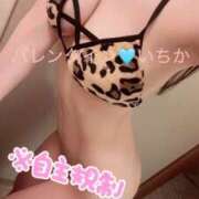 ヒメ日記 2025/05/08 06:53 投稿 いちか クラブ バレンタイン大阪