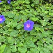 ヒメ日記 2025/06/21 23:04 投稿 さとみ 横浜風俗 横浜いきなりビンビン伝説