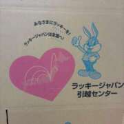 ヒメ日記 2026/01/23 19:06 投稿 さとみ 横浜風俗 横浜いきなりビンビン伝説