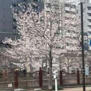 さとみ ダッシュ🏃‍♀️💨 横浜風俗 横浜いきなりビンビン伝説