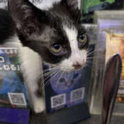 ヒメ日記 2025/07/25 20:06 投稿 ふゆ Club S