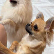 ヒメ日記 2025/11/01 20:38 投稿 ふゆ Club S