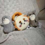 ヒメ日記 2025/11/05 18:50 投稿 ふゆ Club S