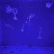 ヒメ日記 2025/11/14 21:52 投稿 ふゆ Club S