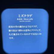 ヒメ日記 2025/12/03 19:56 投稿 ふゆ Club S