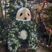 ヒメ日記 2026/01/04 20:46 投稿 ふゆ Club S