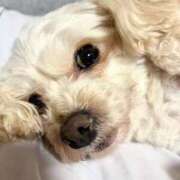 ヒメ日記 2025/09/13 18:30 投稿 ひめか ままどーる