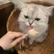 ヒメ日記 2025/04/07 13:08 投稿 かんな Club S