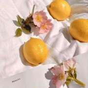 ヒメ日記 2025/04/03 16:20 投稿 新人・雫(しずく) グランドオペラ福岡