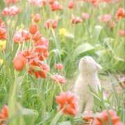 ヒメ日記 2025/04/18 15:55 投稿 新人・雫(しずく) グランドオペラ福岡