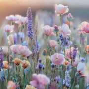 ヒメ日記 2025/04/24 17:49 投稿 新人・雫(しずく) グランドオペラ福岡