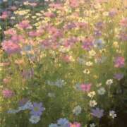 ヒメ日記 2025/04/24 21:30 投稿 新人・雫(しずく) グランドオペラ福岡