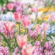 ヒメ日記 2025/05/01 12:02 投稿 新人・雫(しずく) グランドオペラ福岡