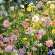 ヒメ日記 2025/05/15 18:51 投稿 新人・雫(しずく) グランドオペラ福岡