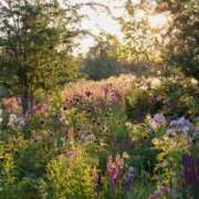 ヒメ日記 2025/05/24 09:02 投稿 新人・雫(しずく) グランドオペラ福岡