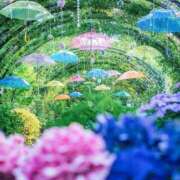 ヒメ日記 2025/06/02 18:37 投稿 新人・雫(しずく) グランドオペラ福岡