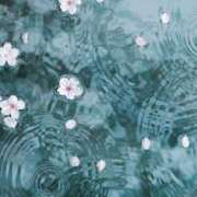 ヒメ日記 2025/06/02 19:02 投稿 新人・雫(しずく) グランドオペラ福岡