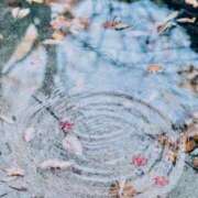 ヒメ日記 2025/06/14 22:51 投稿 新人・雫(しずく) グランドオペラ福岡