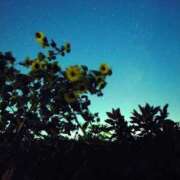 ヒメ日記 2025/06/21 22:51 投稿 新人・雫(しずく) グランドオペラ福岡