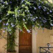 ヒメ日記 2025/06/23 17:16 投稿 新人・雫(しずく) グランドオペラ福岡