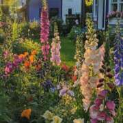 ヒメ日記 2025/06/25 12:40 投稿 新人・雫(しずく) グランドオペラ福岡