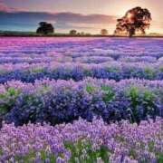 ヒメ日記 2025/06/25 14:57 投稿 新人・雫(しずく) グランドオペラ福岡