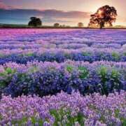 ヒメ日記 2025/06/25 16:51 投稿 新人・雫(しずく) グランドオペラ福岡