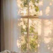 ヒメ日記 2025/06/26 07:43 投稿 新人・雫(しずく) グランドオペラ福岡