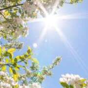 ヒメ日記 2025/06/27 08:01 投稿 新人・雫(しずく) グランドオペラ福岡