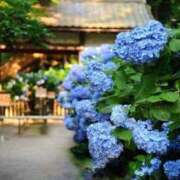 ヒメ日記 2025/06/27 12:39 投稿 新人・雫(しずく) グランドオペラ福岡