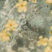 ヒメ日記 2025/06/27 18:21 投稿 新人・雫(しずく) グランドオペラ福岡