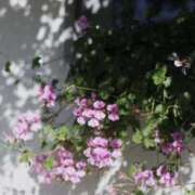 ヒメ日記 2025/06/28 12:51 投稿 新人・雫(しずく) グランドオペラ福岡