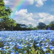 ヒメ日記 2025/06/29 08:41 投稿 新人・雫(しずく) グランドオペラ福岡