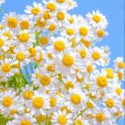 ヒメ日記 2025/06/30 14:41 投稿 新人・雫(しずく) グランドオペラ福岡