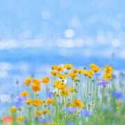 ヒメ日記 2025/07/01 09:53 投稿 新人・雫(しずく) グランドオペラ福岡