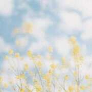 ヒメ日記 2025/07/02 09:02 投稿 新人・雫(しずく) グランドオペラ福岡