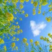 ヒメ日記 2025/07/04 16:03 投稿 新人・雫(しずく) グランドオペラ福岡