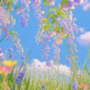 ヒメ日記 2025/07/07 09:43 投稿 新人・雫(しずく) グランドオペラ福岡