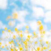 ヒメ日記 2025/07/07 14:21 投稿 新人・雫(しずく) グランドオペラ福岡