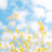 ヒメ日記 2025/07/07 15:57 投稿 新人・雫(しずく) グランドオペラ福岡