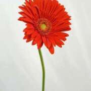 ヒメ日記 2025/07/10 13:56 投稿 新人・雫(しずく) グランドオペラ福岡