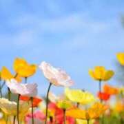 ヒメ日記 2025/07/11 16:11 投稿 新人・雫(しずく) グランドオペラ福岡