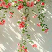 ヒメ日記 2025/07/18 17:34 投稿 新人・雫(しずく) グランドオペラ福岡