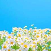 ヒメ日記 2025/07/18 20:34 投稿 新人・雫(しずく) グランドオペラ福岡